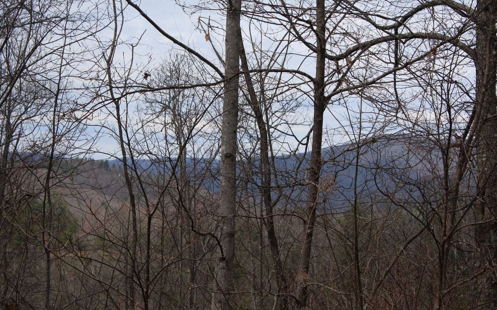 Other - 29&30 N Ridge High Meadows, Hayesville, NC
