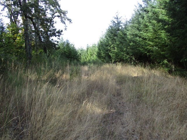 Other - NW Crane (4), Yamhill, OR