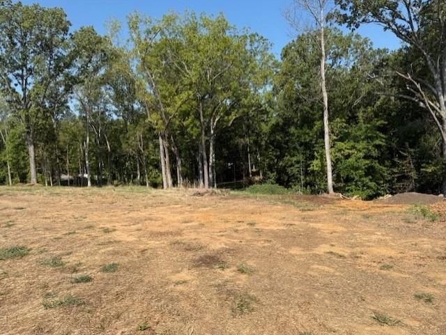 Single Family - India Rd. Lot 2, PARIS, TN