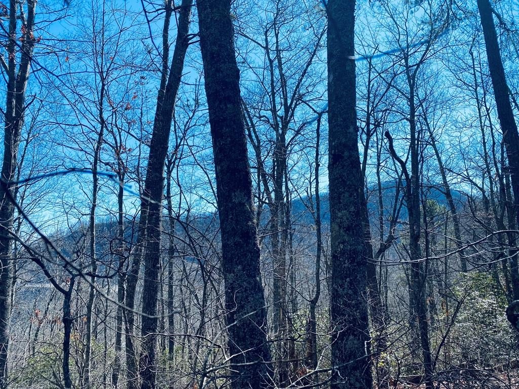 Other - Red Hawk Bluff Lane lot: 26, Sylva, NC