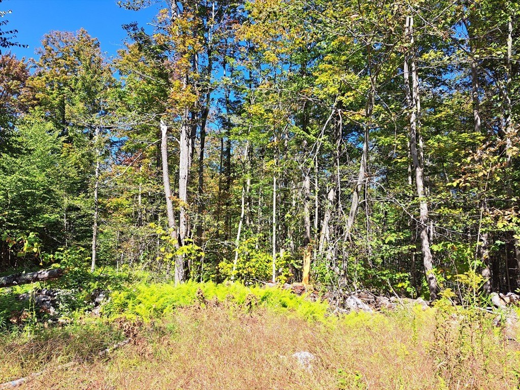 Other - Lot "B" Beulah Land Rd, Blandford, MA