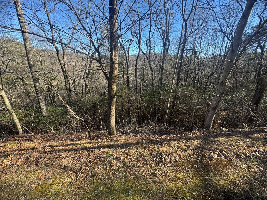 Other - Lot 228 Andes Ridge, Ellijay, GA