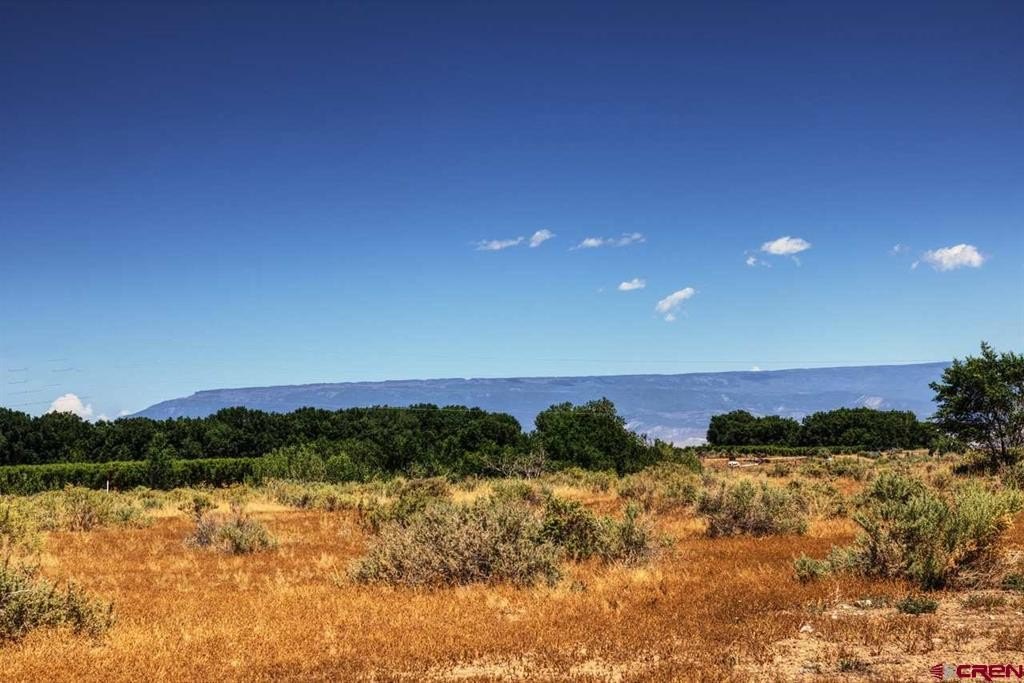 Single Family - Lot:3 Idaho Road, Montrose, CO