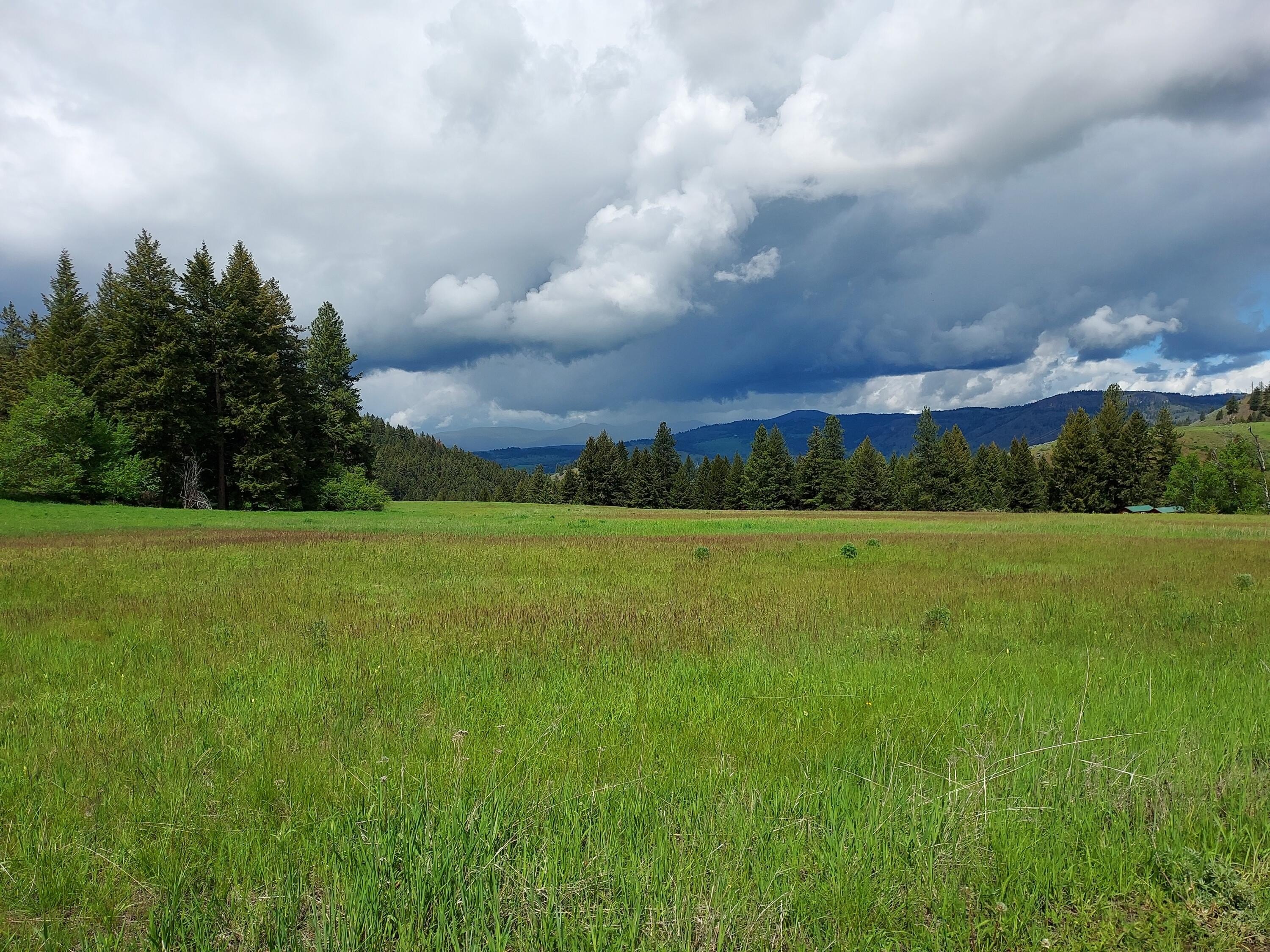 Other - 47 OLD RANCH HOUSE ROAD (LOT 2), REPUBLIC, WA