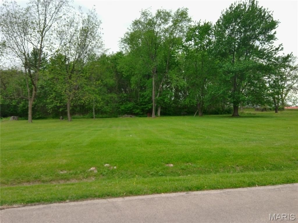 Other - O Hidden Meadows Lane, Dexter, MO