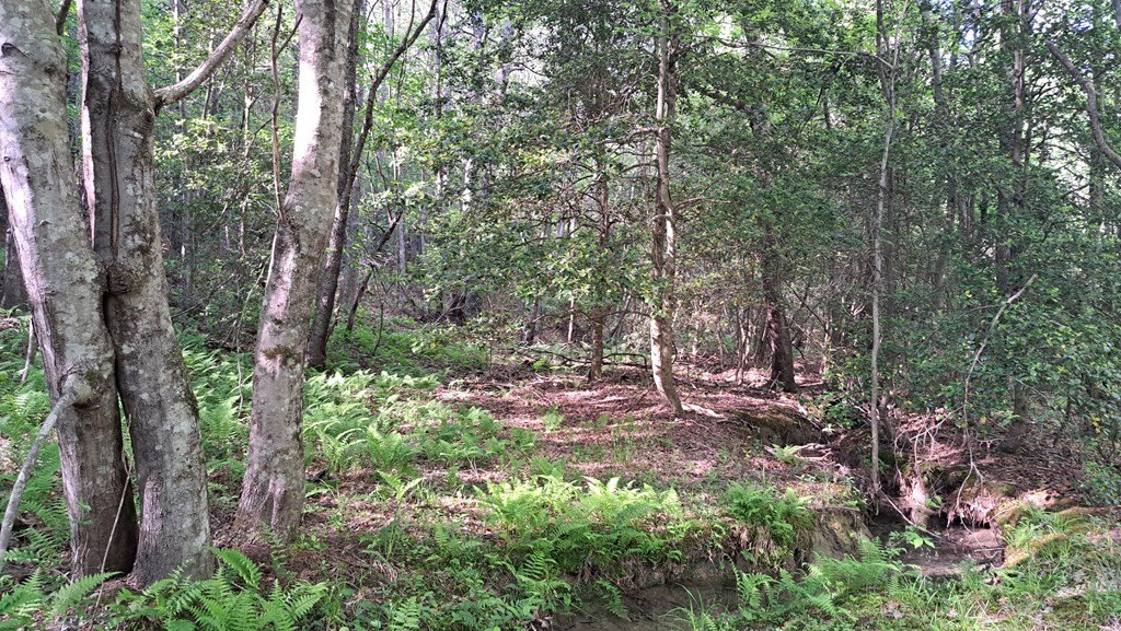 Other - Timber Valley Trail (Pca) lot: 20, Rockwood, TN