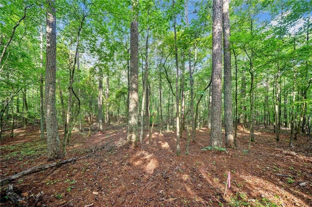 Plots and Land - 0 Brock Trail, Milton, GA