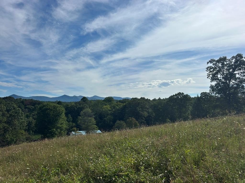 Other - 8ac Jimmy Nicholson Road, Blairsville, GA