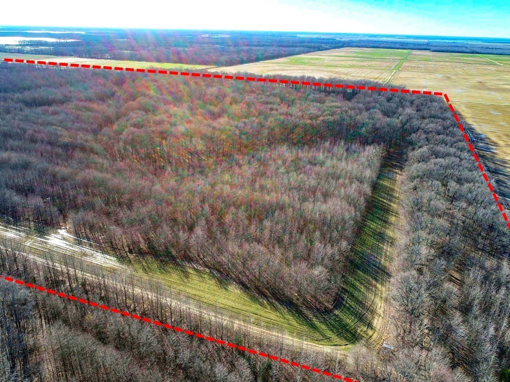 Other - 6075 Curtis Road, Batesville, MS