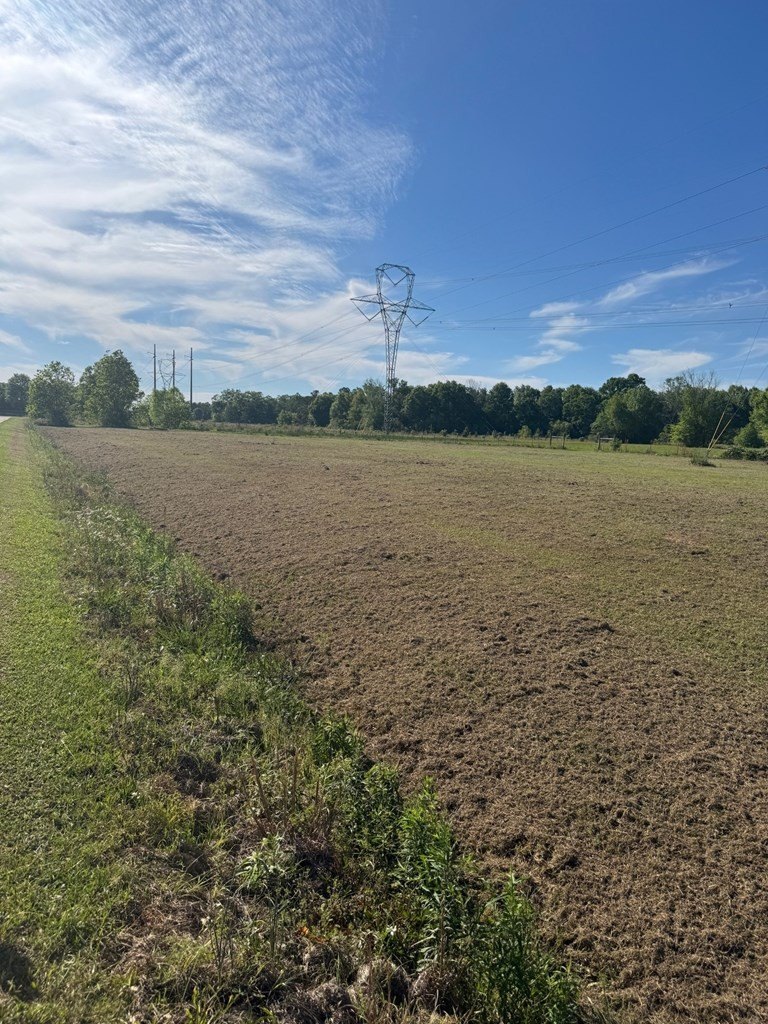 Other - 0000 Gentle Breeze, Carriere, MS