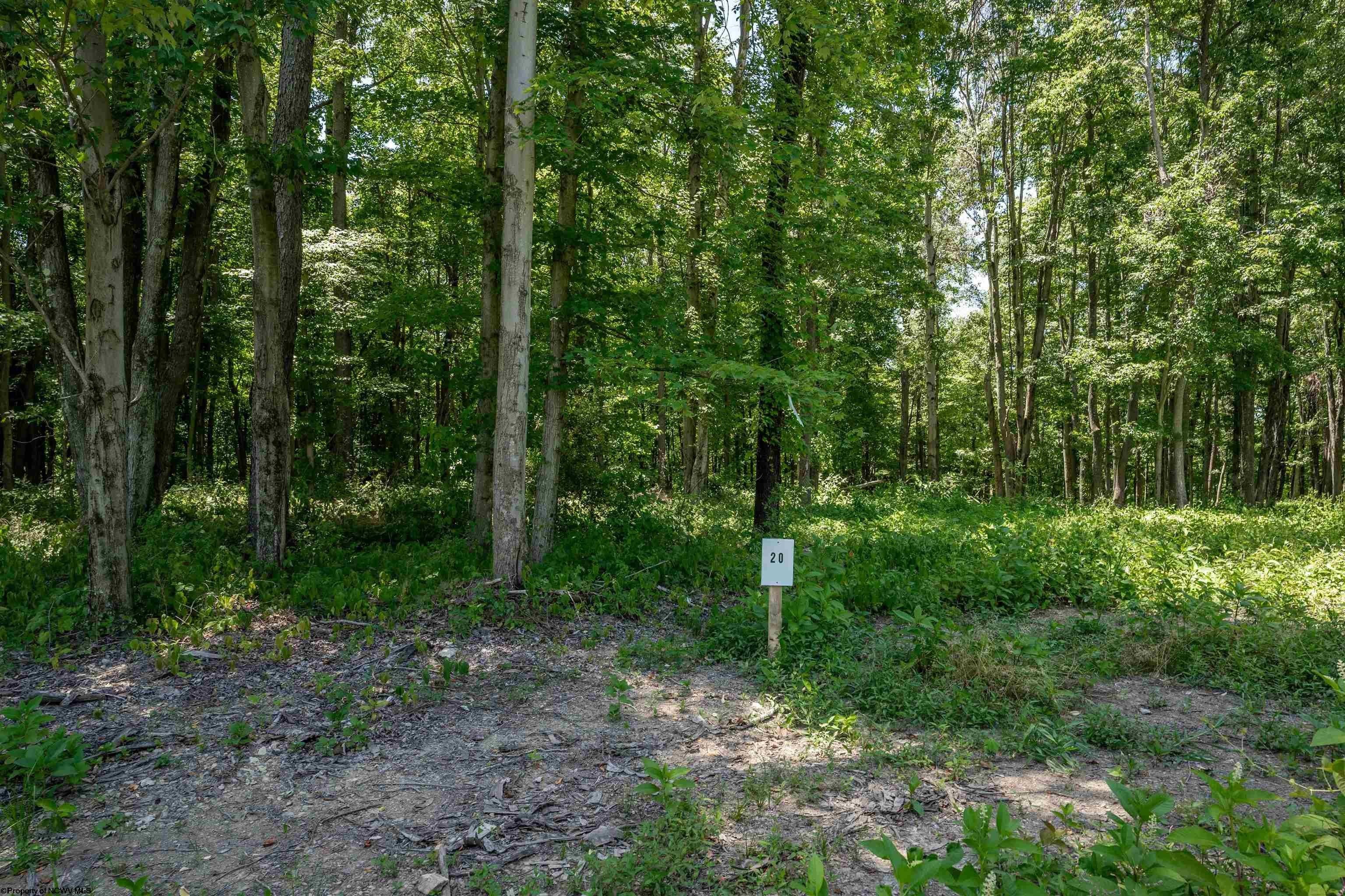 Other - Bowers Lane lot: 20, Morgantown, WV