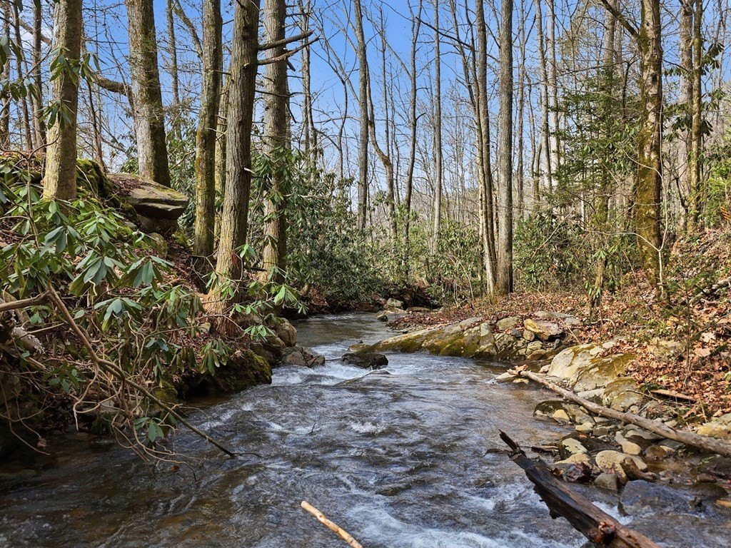 Single Family 2BR 2BA - 861 Little Rock Creek, Cherry Log, GA