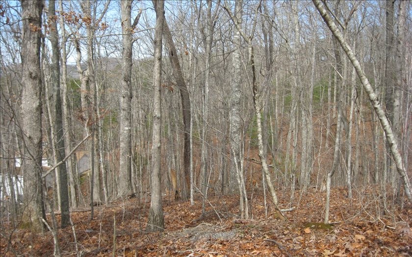 Other - Lot25 Scarletts Way, Young Harris, GA