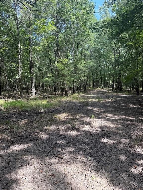 Other - 000 FM 412, Clarksville, TX