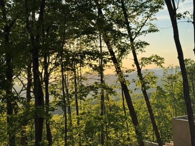 Plots and Land - Lot 239 Kittatinny Drive, Mineral Bluff, GA