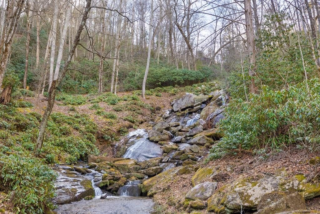 Other 3BR 2BA - 390 Gantes Gulch Road, Highlands, NC