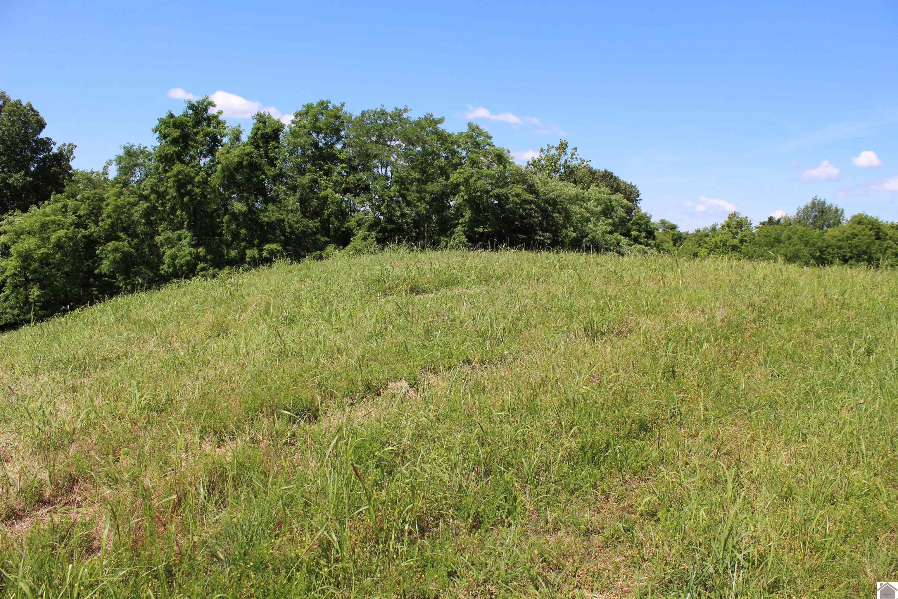 Other - Lot 23 Oak View Lane, Eddyville, KY