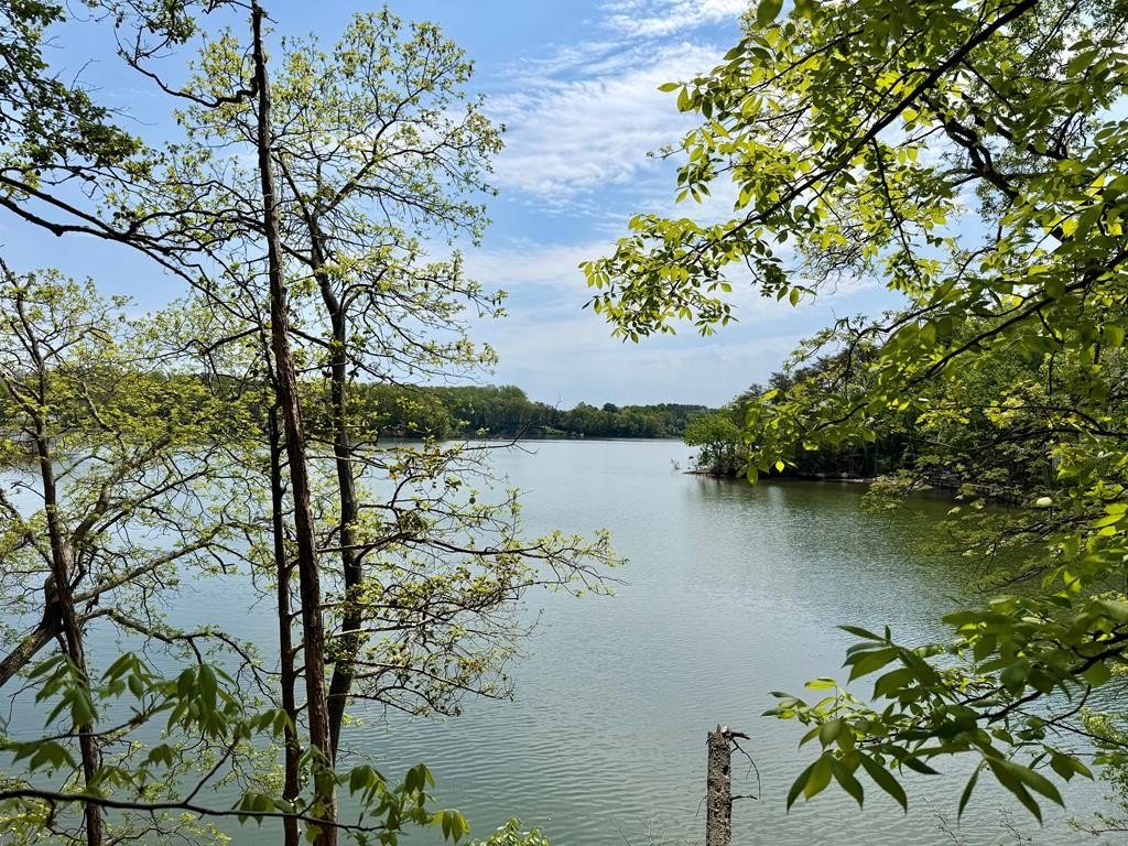 Single Family - lot 7 Great House Road, Kinsale, VA