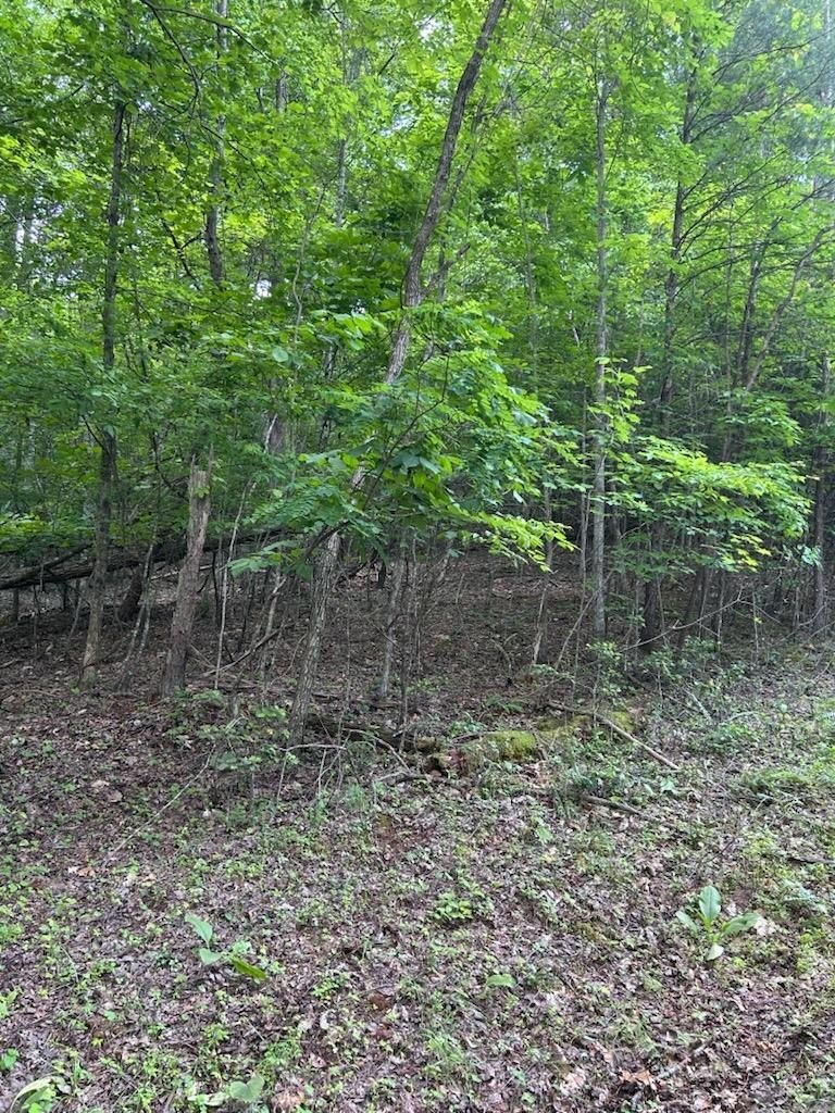 Other - 1 White Eagle Road, Hiawassee, GA