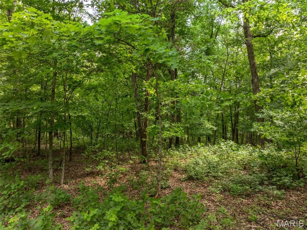 Other - 2528 Alpine Trails Drive, Innsbrook, MO