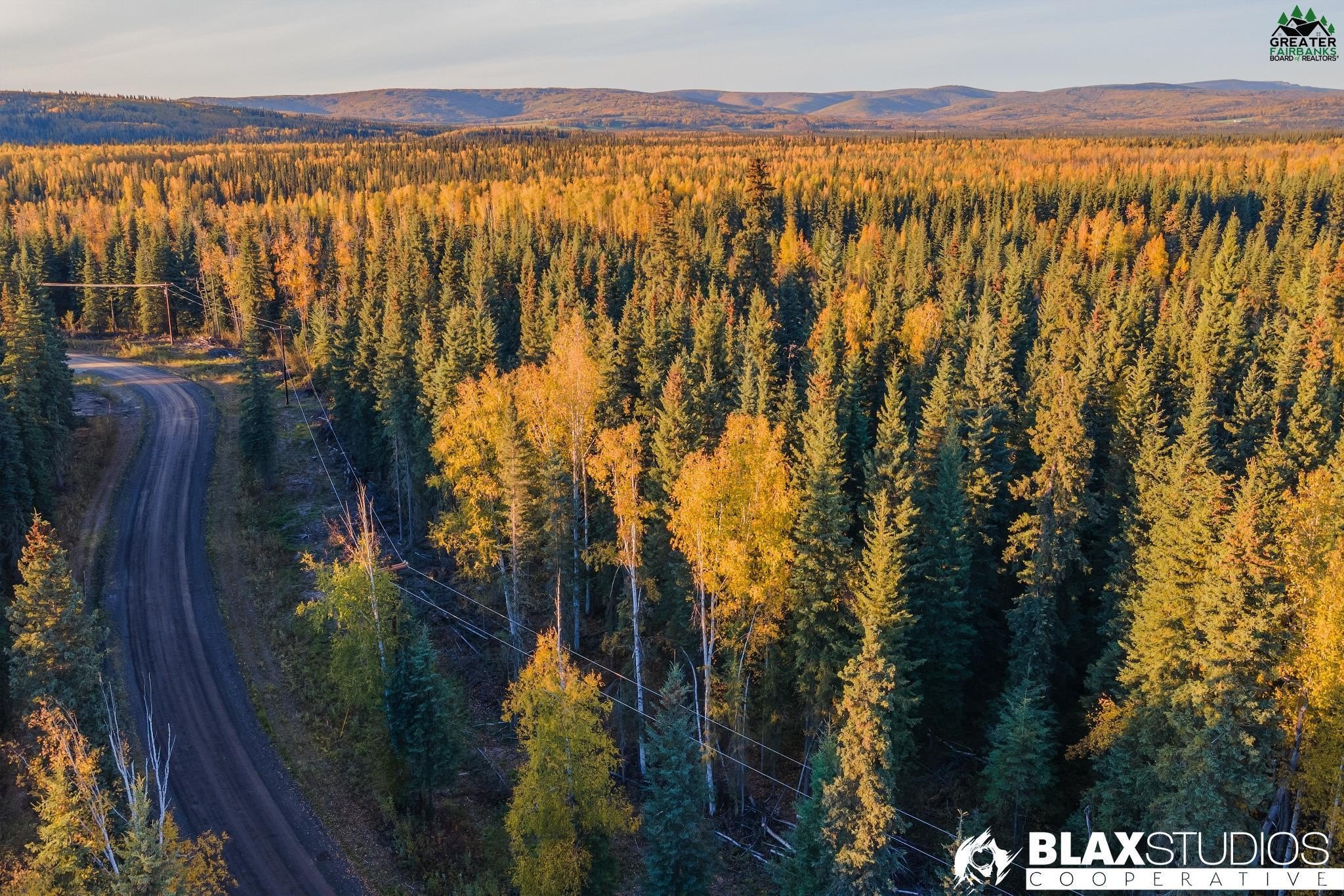 Other - Lot 44 MAUDE BOYLE DRIVE, North Pole, AK