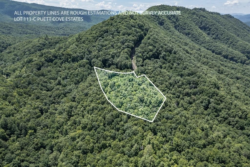 Other - Puett Cove Estates lot: 111, MARBLE, NC