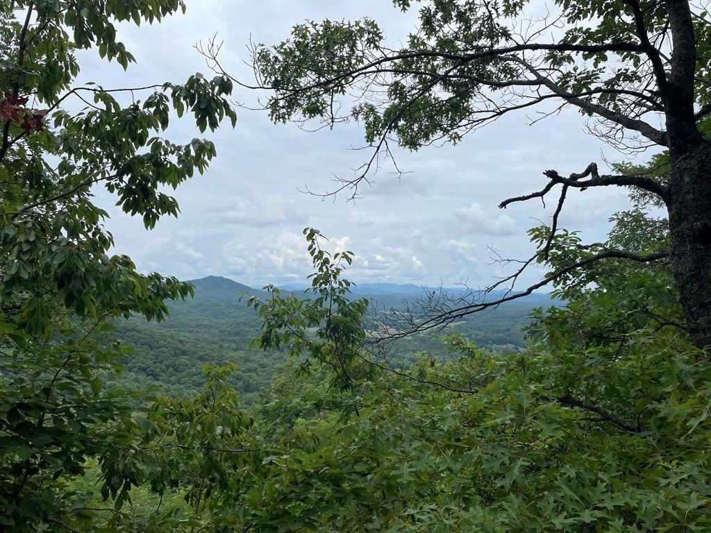 Other - 12,13a Brasstown Heights Ln, Brasstown, NC