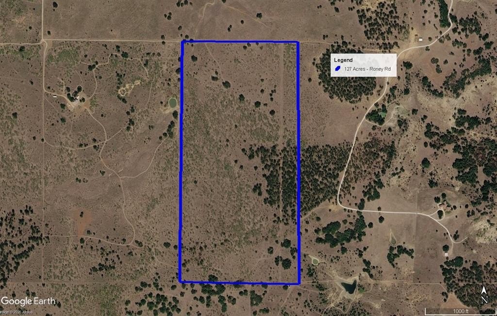 Other - Roney Road, Jacksboro, TX