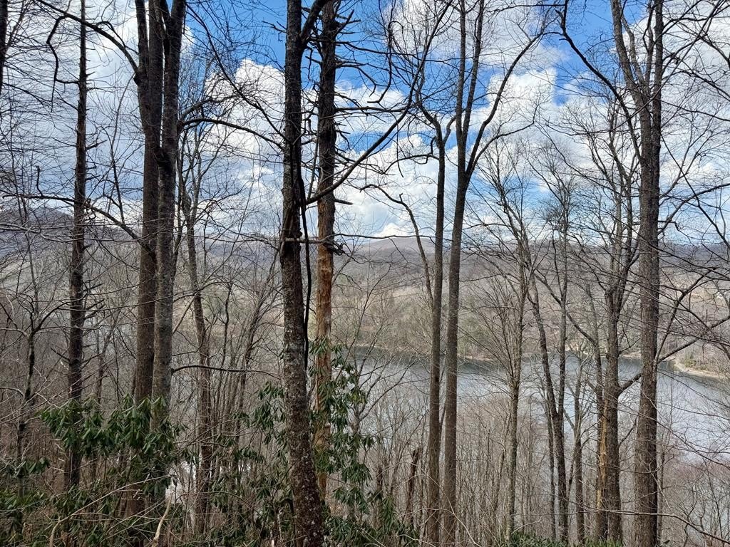 Other - Lot# 38 Nantahala Shores Road, NANTAHALA, NC