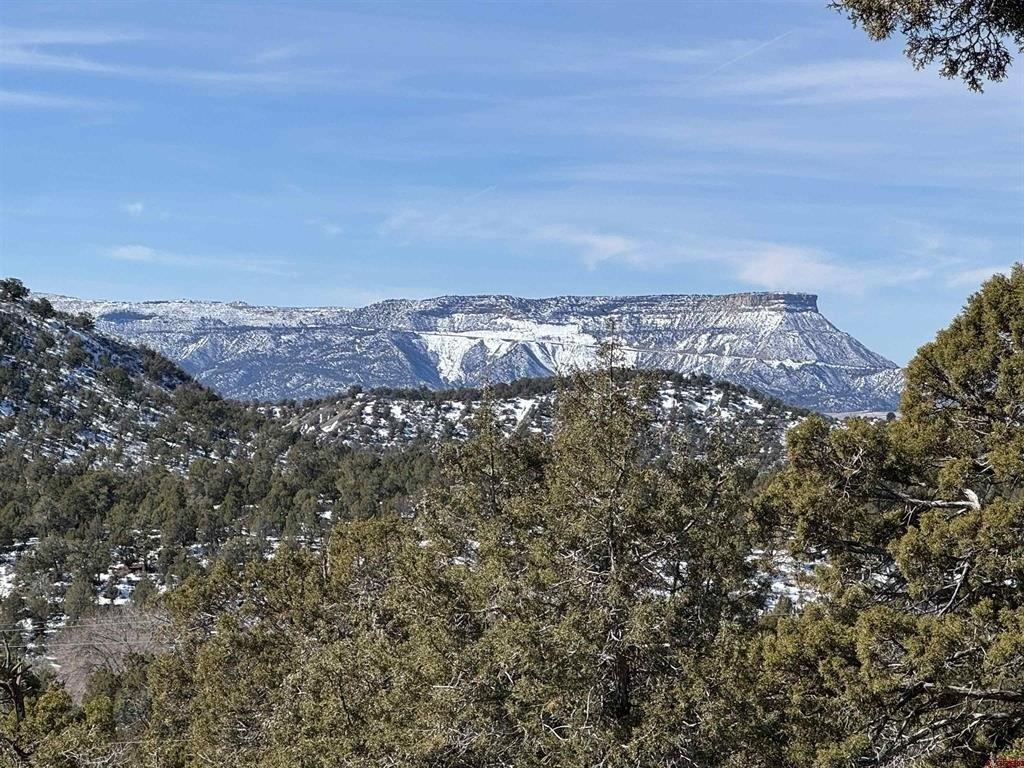 Other - TBD Road 41.4, Mancos, CO