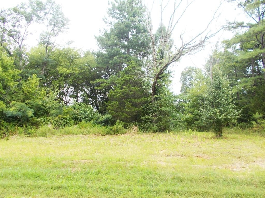 Single Family - Sand Pit Loop, CAMDEN, TN