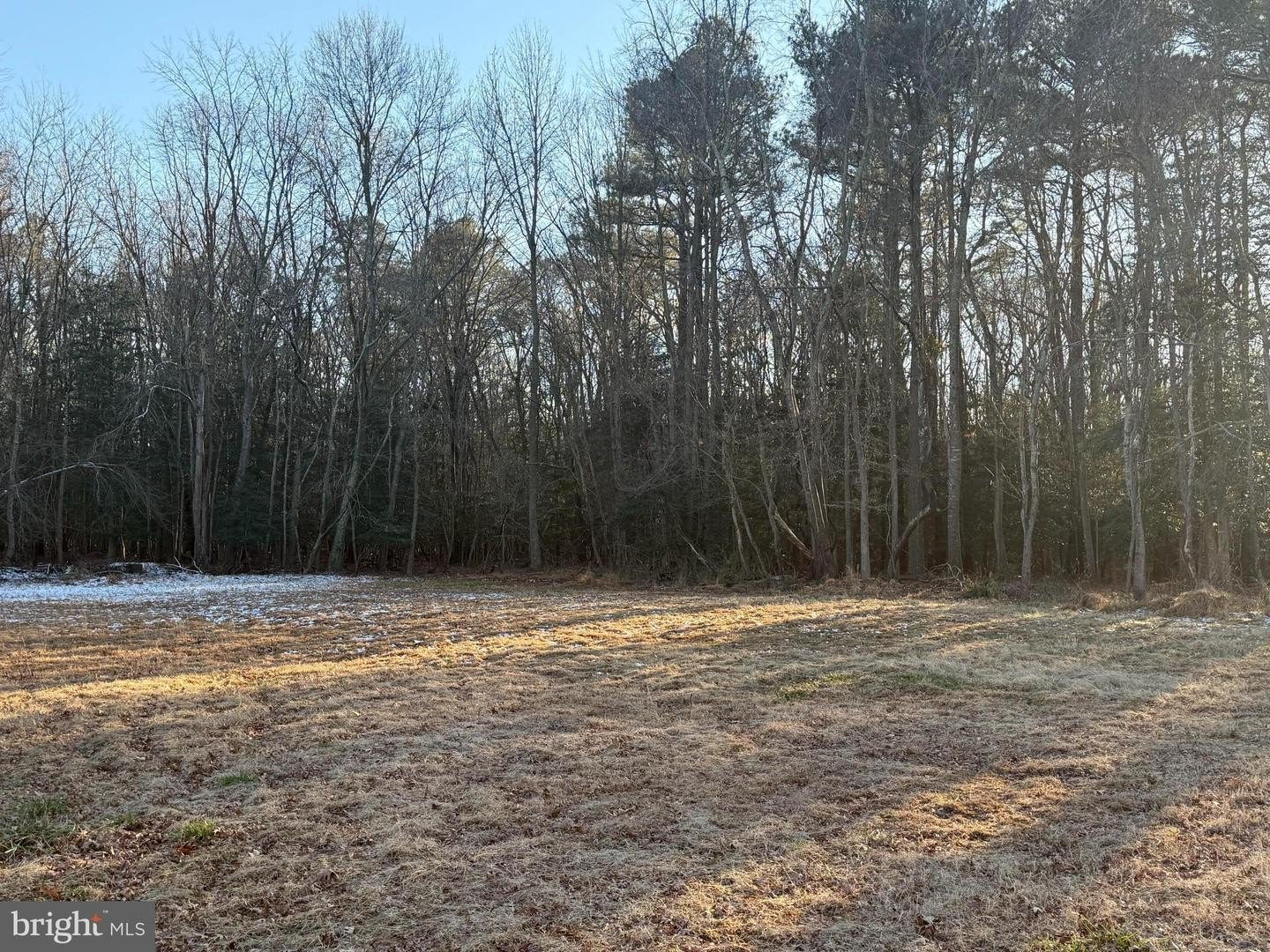 Plots and Land - 26486 MOUNT JOY RD, MILLSBORO, DE
