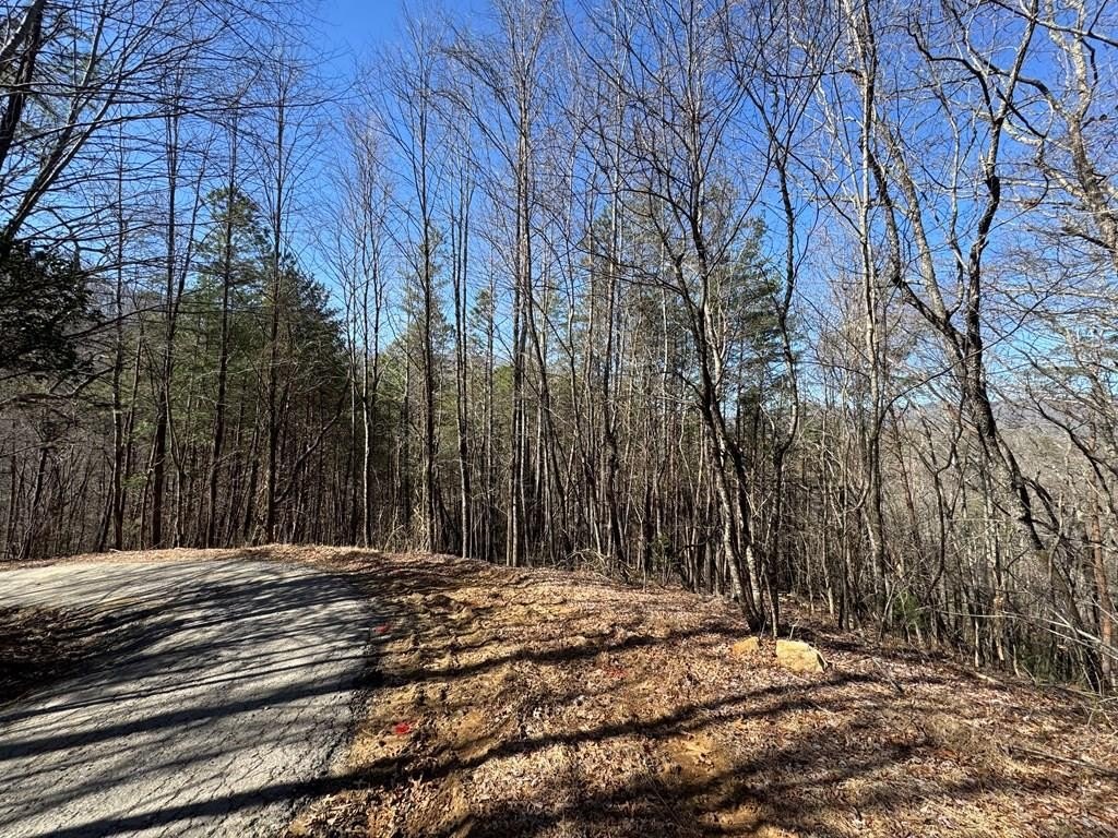 Other - Trac I 2 Crockett Mountain Lane, Hayesville, NC