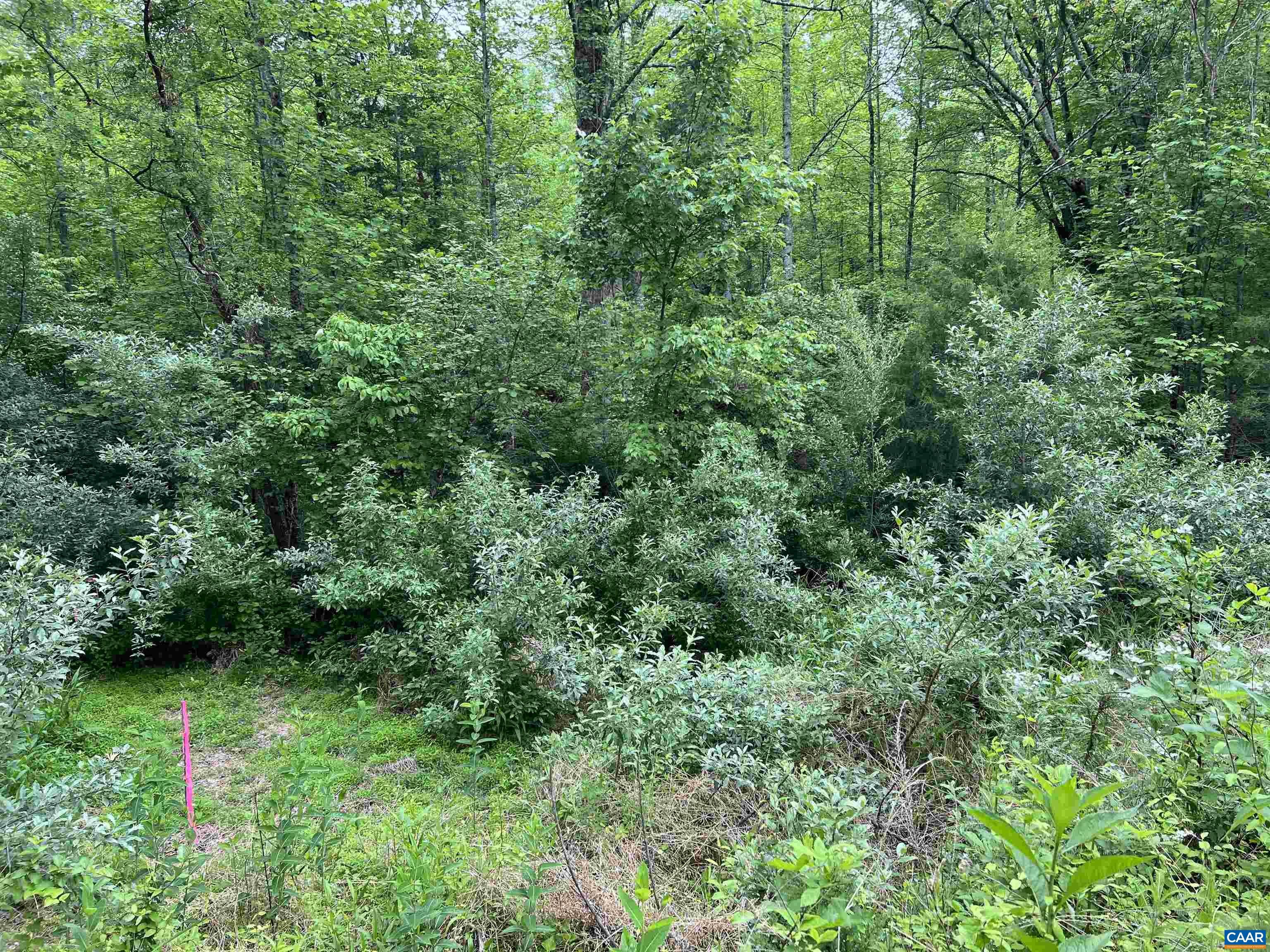 Other - Lot B and C MONTVIEW DR, RUCKERSVILLE, VA