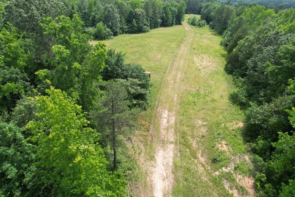 Other - 36 County Road 284, Thaxton, MS