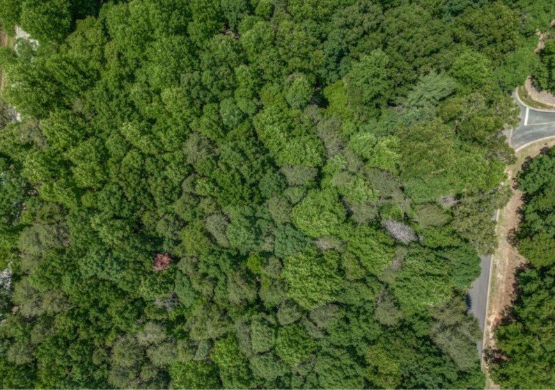 Other - Plum Lane, Clarkesville, GA