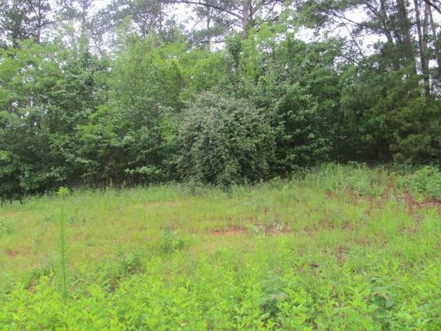 Other - 909 Red Fox Court, Cataula, GA