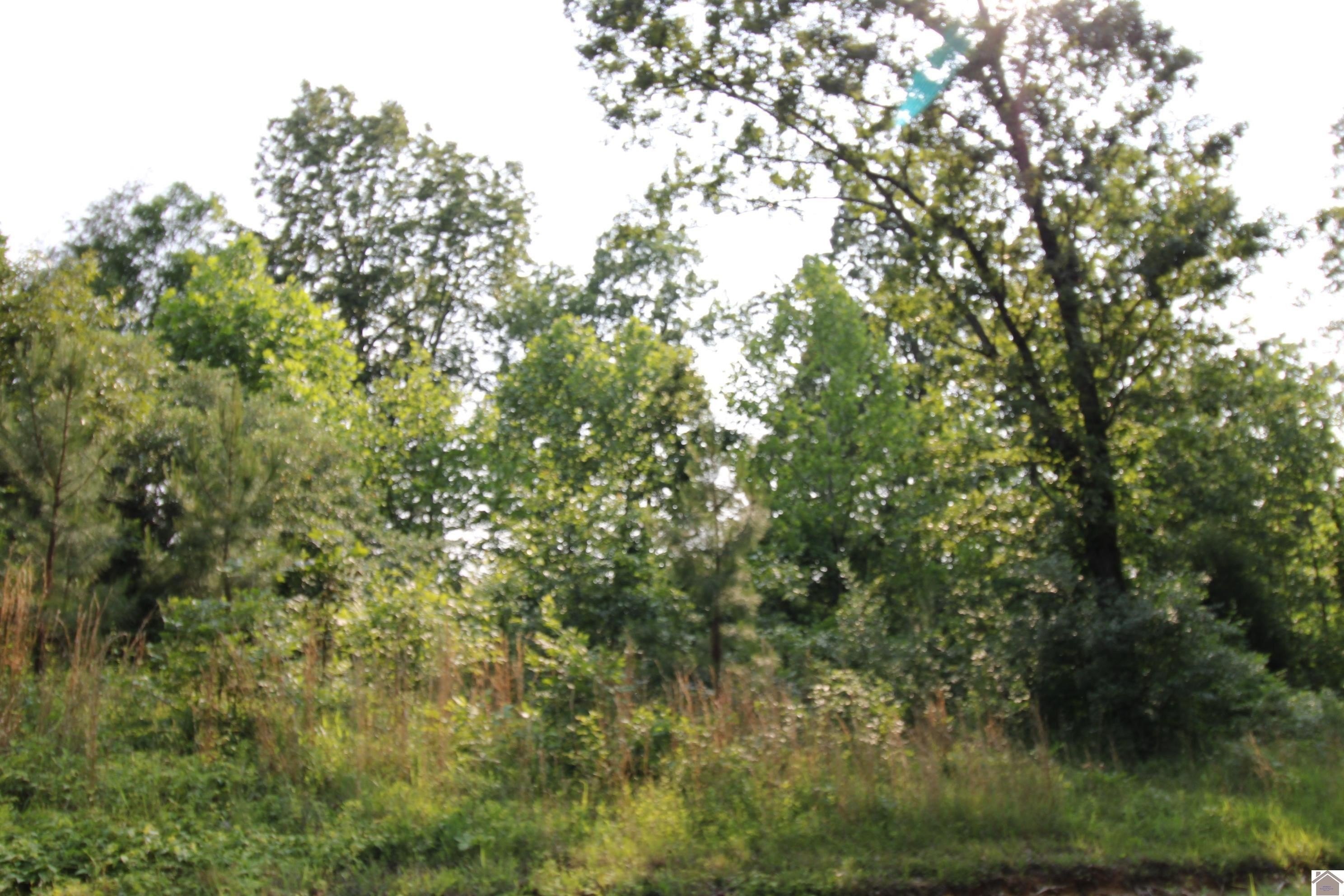 Other - 00 Paddle Wheel Road, Gilbertsville, KY