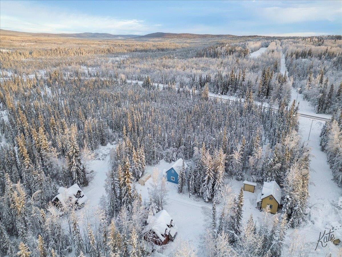 Other - 615 SHEEP CREEK ROAD, Fairbanks, AK