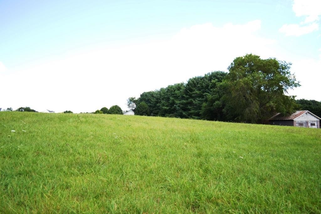 Other - S Petunia Road lot: 20, Wytheville, VA