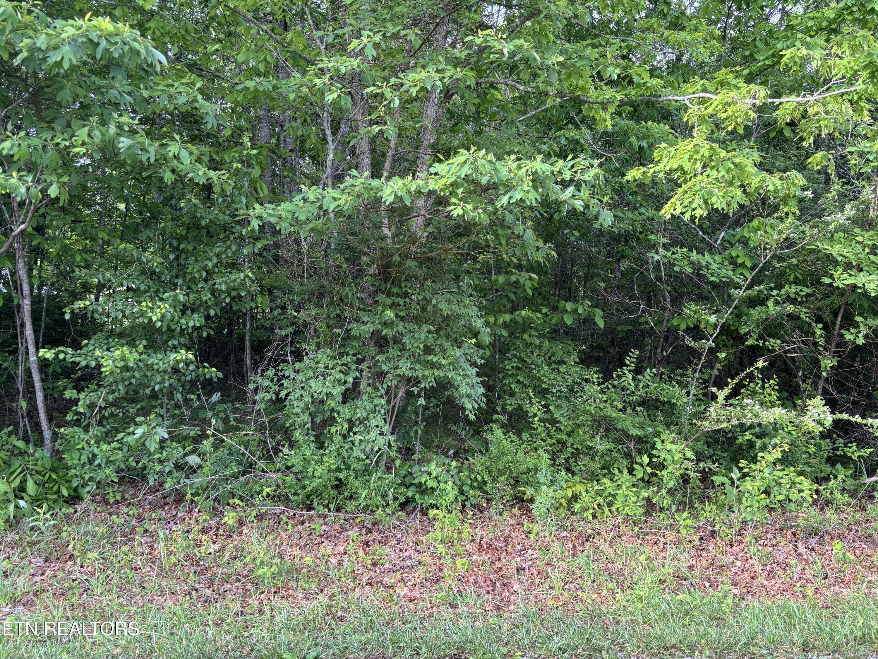 Other - 1654 E Cherokee Rd, Crossville, TN