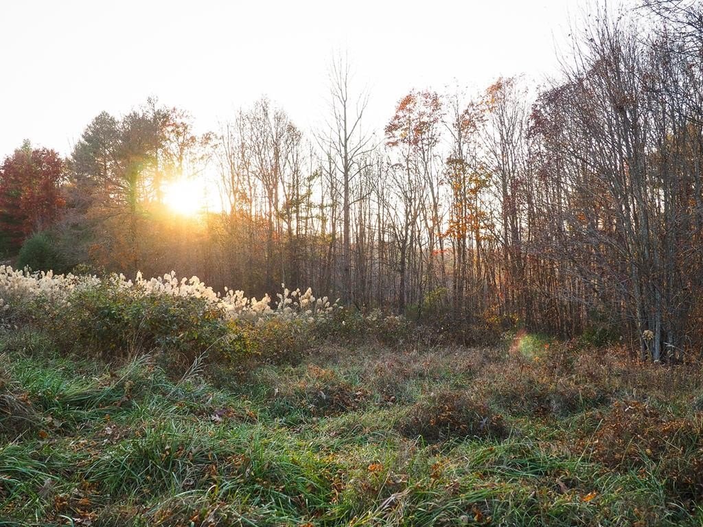 Other - Pridemoore Rd. lot: 9, Galax, VA