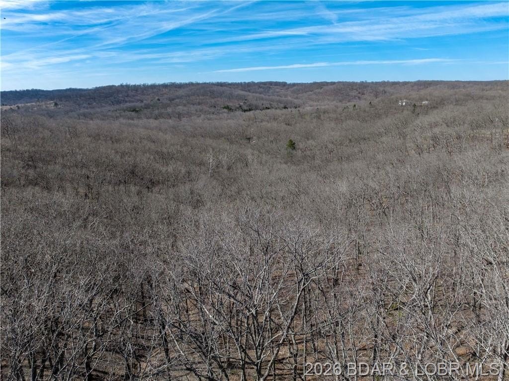 Other - Lot D-1A Skywater Road, Gravois Mills, MO