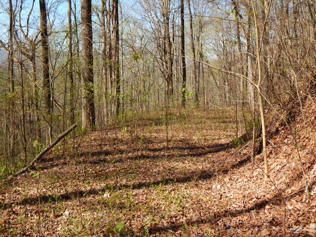 Other - 12-2,15& Burnt Leaf Lane, Hayesville, NC