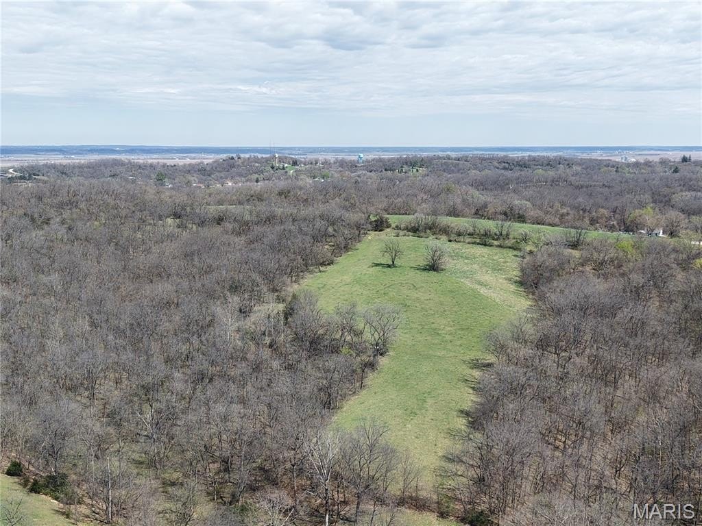 Other - 1806 Robinson, Hannibal, MO