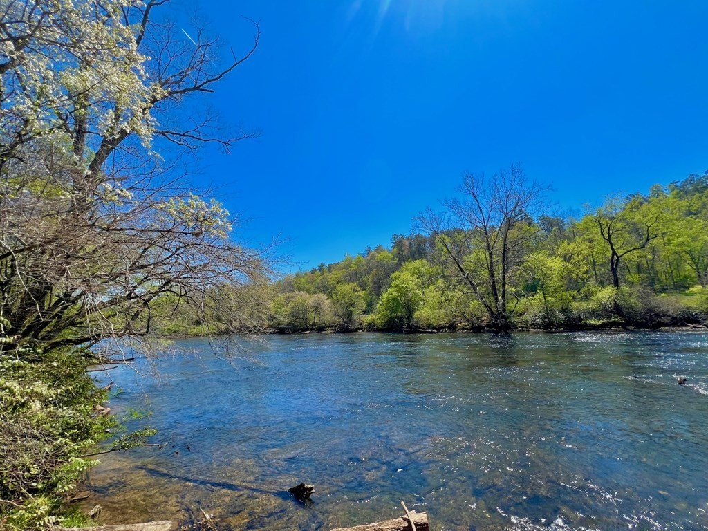 Other - Toccoa River Forest, Mineral Bluff, GA