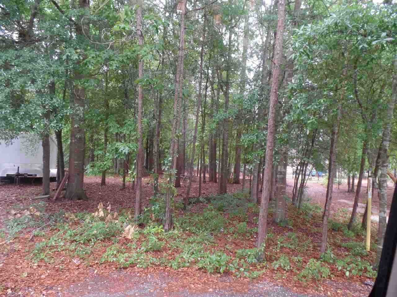 Other - Palmetto Dr - Lot 42, Hartsville, SC