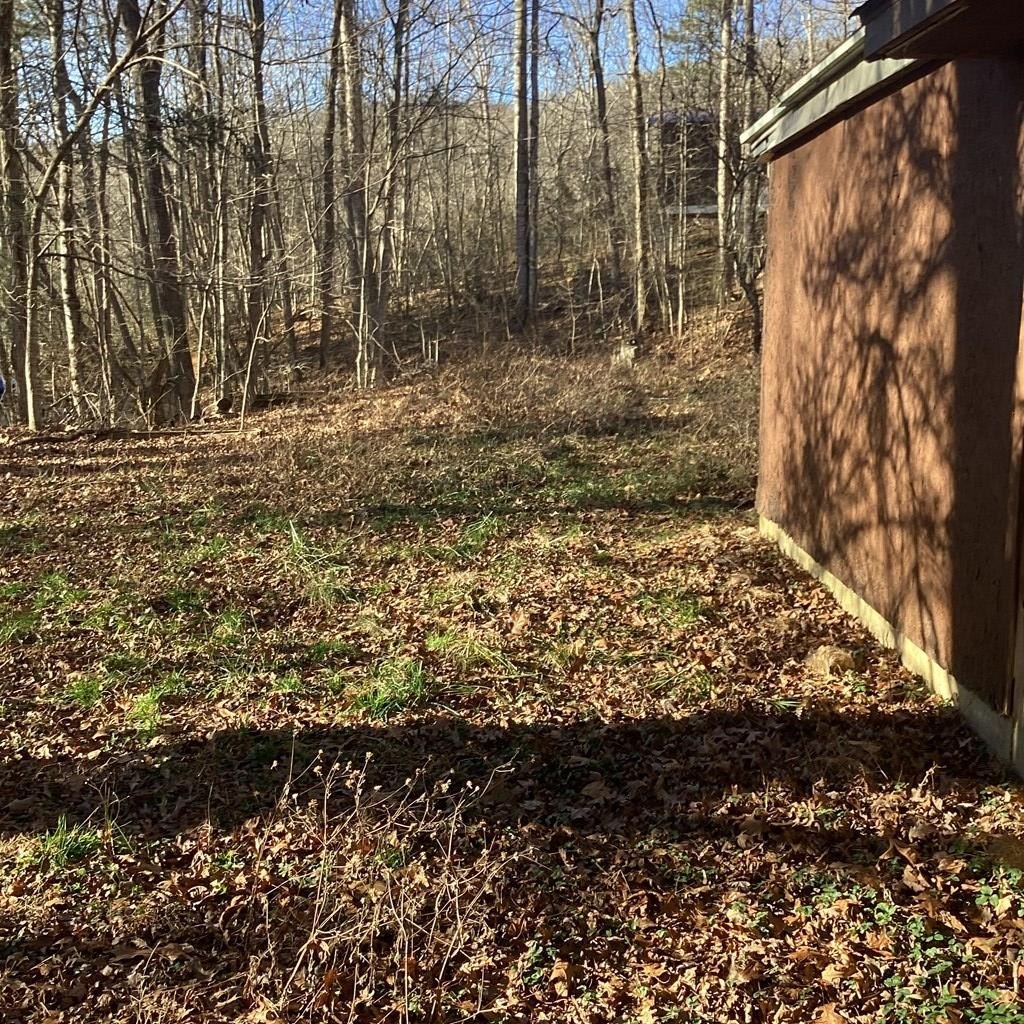 Single Family 3BR 1BA - 145 Old Mill Rd, Bryson City, NC
