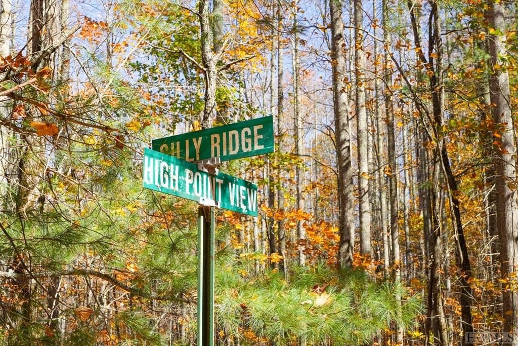 Other - Silly Ridge Road lot: 6, Scaly Mountain, NC