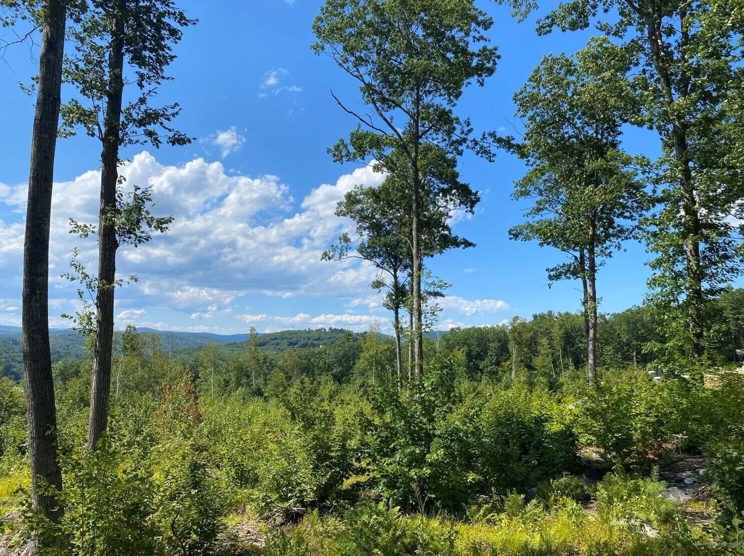 Other - Birch Circle lot: 17, Harrison, ME